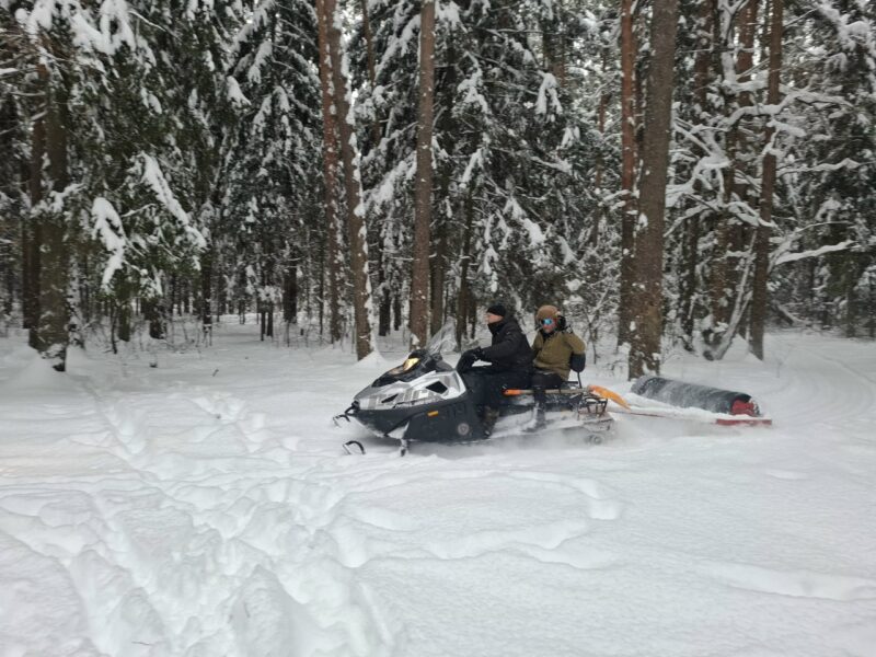 Трасса лыжная Цаговский лес, состояние на 12 января 2026 по отзыву, фото 4. 